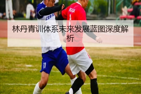 img_1780591659102_686_1_781.jpg